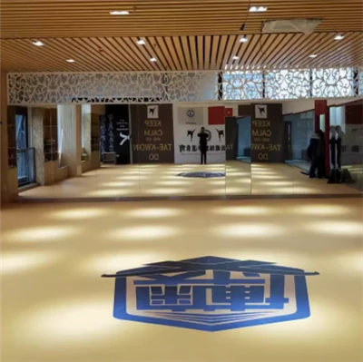 تشک XPE برای بوکس جودو MMA