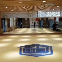 تشک XPE برای بوکس جودو MMA